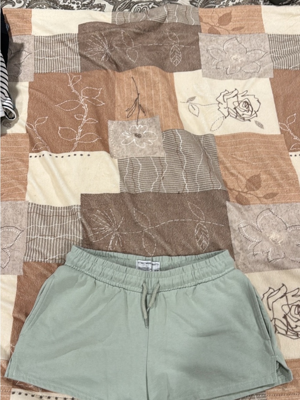 Streetwear Society Sage Green Women’s Shorts